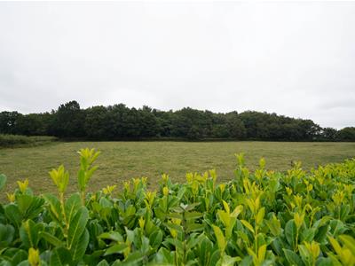 Picture 3